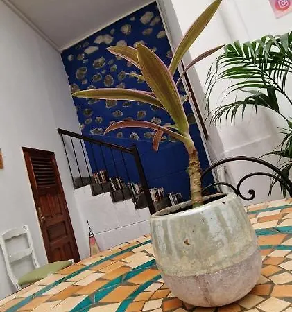 Casablanca Vv